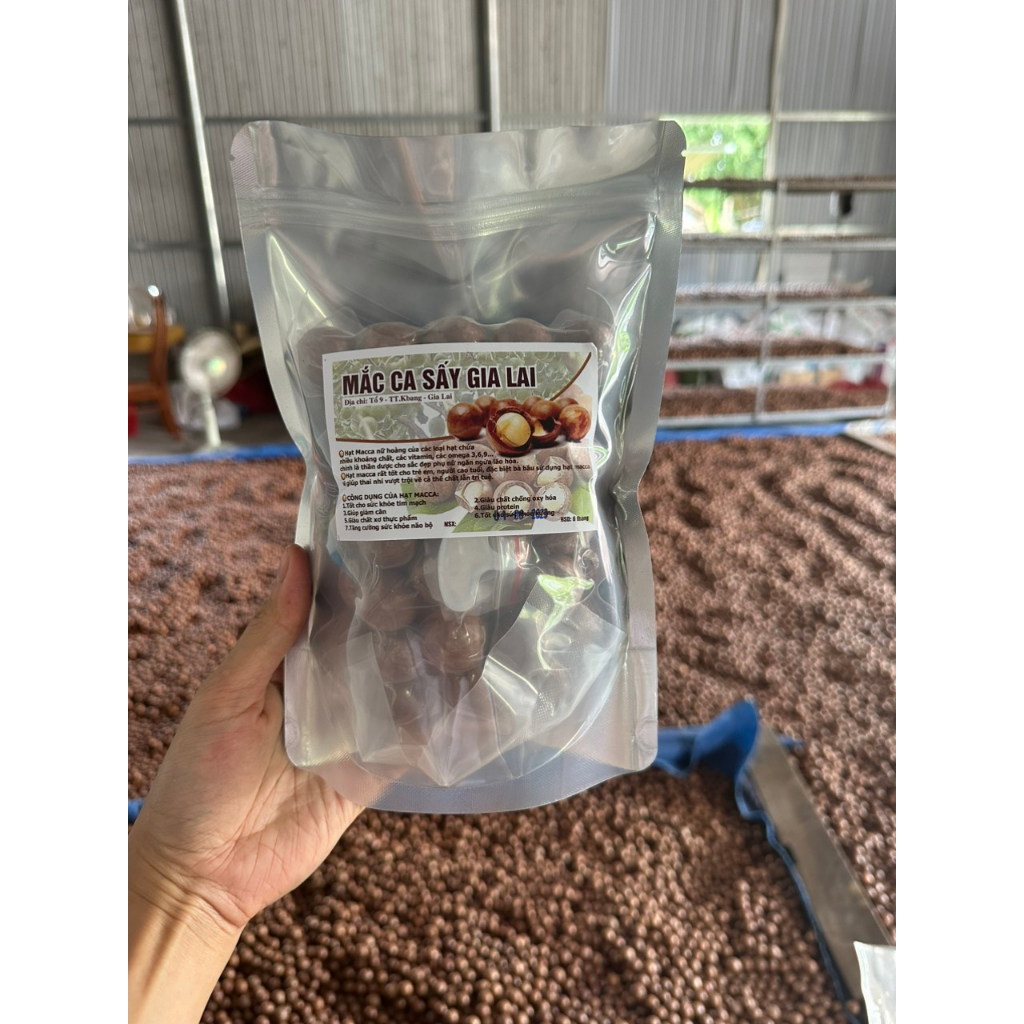 1kg Hạt Macca Sạch Gia Lai, Hạt sấy nứt vỏ hạt to, nhân to sấy chín, nhân nhỏ sấy chín, nhân sống làm sữa hạt