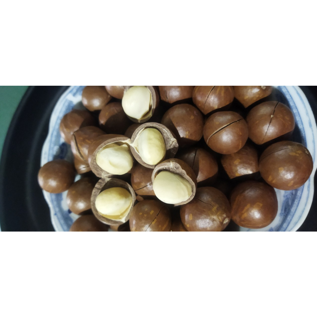 1kg Hạt Macca Sạch Gia Lai, Hạt sấy nứt vỏ hạt to, nhân to sấy chín, nhân nhỏ sấy chín, nhân sống làm sữa hạt