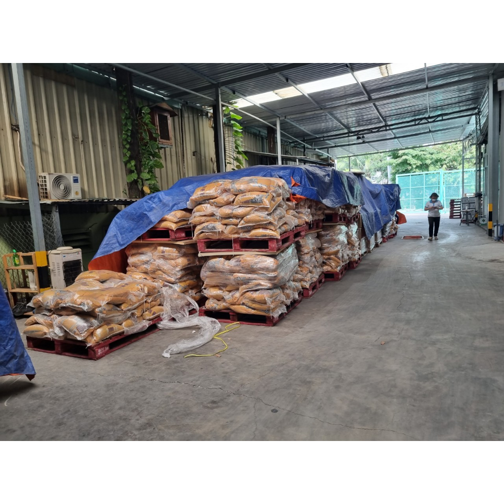 Cát vệ sinh cho mèo TRUE TEST túi 8.5L Siêu khử mùi Siêu vón cục Thương hiệu Haisen