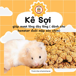 Kê sợi - giúp mượt lông dày lông ( dành cho hamster đuôi mập sóc chim)