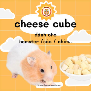 Cheese Cube dành cho thú nhỏ (hamster, sóc, nhím, ....)