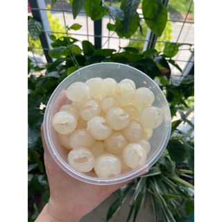 Sỉ dụng cụ tách hạt nhãn combo 50 cái