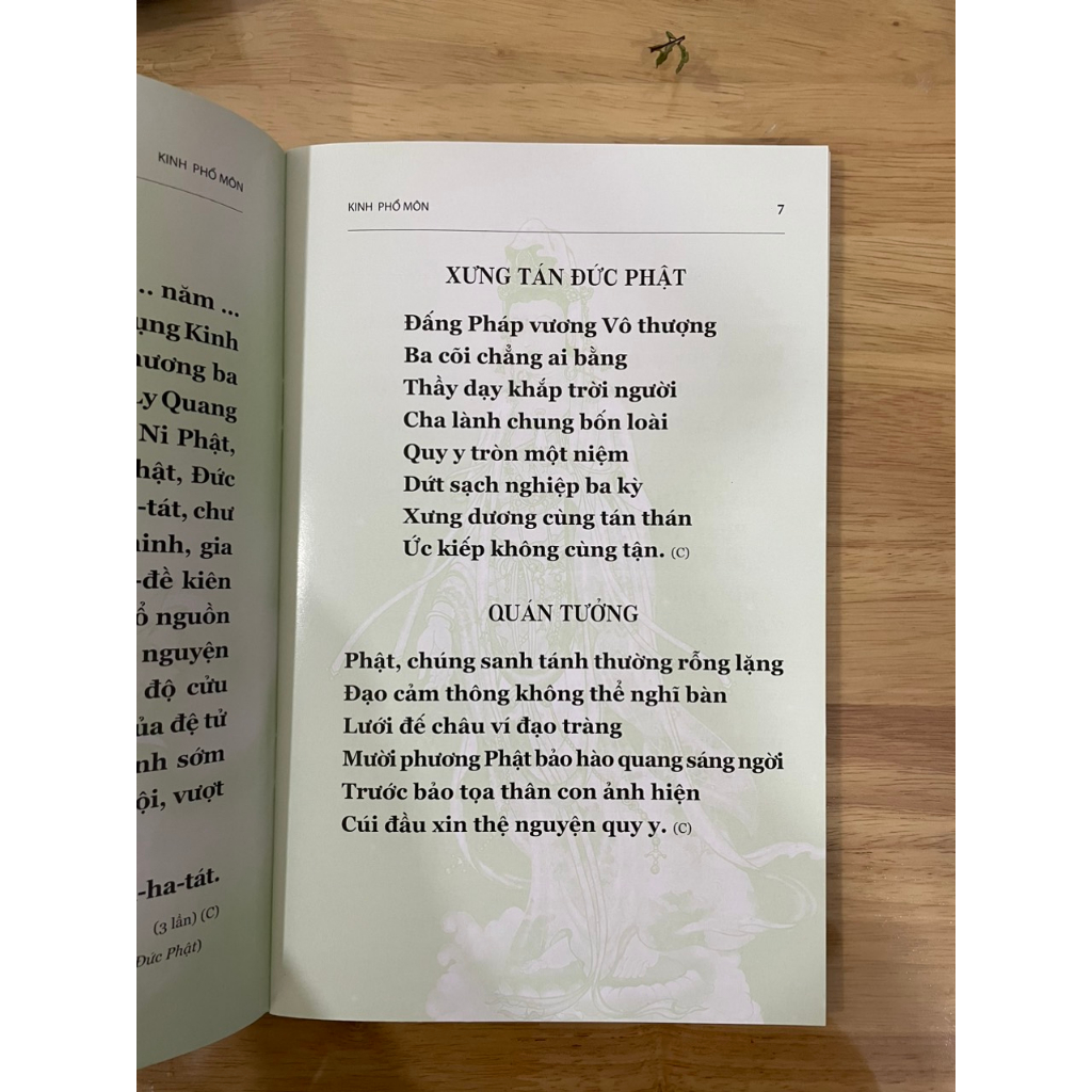 Sách - Kinh Phổ Môn - HT Thích Trí Tinh - Bìa xanh