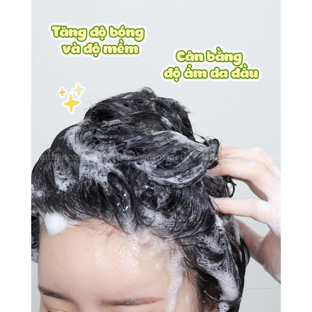 Dầu Gội Hỗ Trợ Phục Hồi Tóc Chiết Xuất Hương Thảo Aromatica Rosemary Scalp Scaling Shampoo