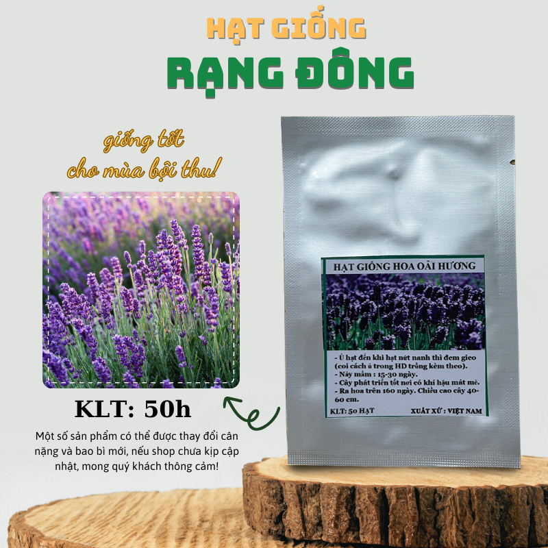Hạt giống Hoa Oải Hương (Hoa Lavender) hoa trồng chậu hoặc cắt cành (gói 50 hạt) - Hạt giống Rạng Đông