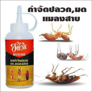 Thuốc diệt kiến mối Thái Lan