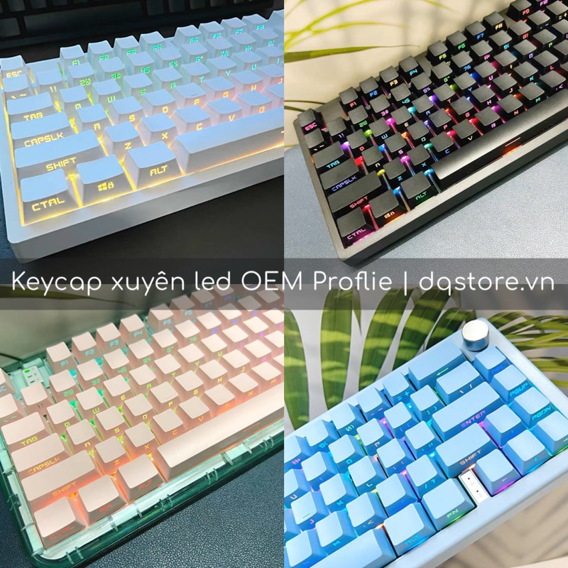 [SẴN] Keycap Xuyên Led OEM Profile (131 Phím/ PBT Double-Shot) Fullbox