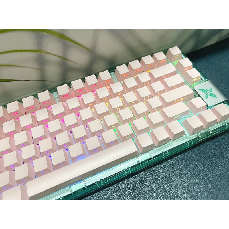 [SẴN] Keycap Xuyên Led OEM Profile (131 Phím/ PBT Double-Shot) Fullbox