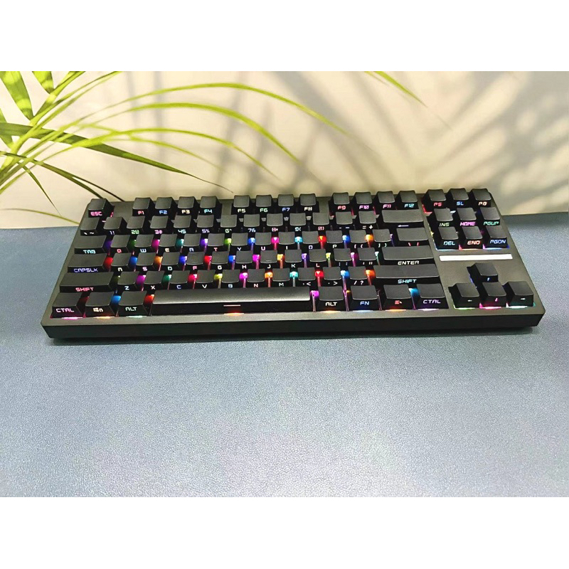 [SẴN] Keycap Xuyên Led OEM Profile (131 Phím/ PBT Double-Shot) Fullbox