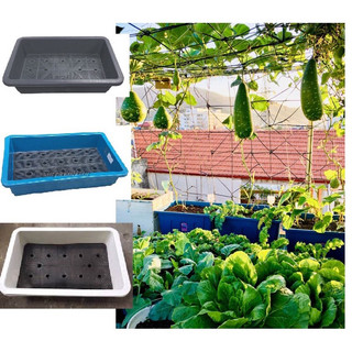 Chậu máng trồng rau thông minh kèm lót dài 68cm - Khay nhựa nông hình chữ nhật đen-xanh-trắng trồng rau,hoa