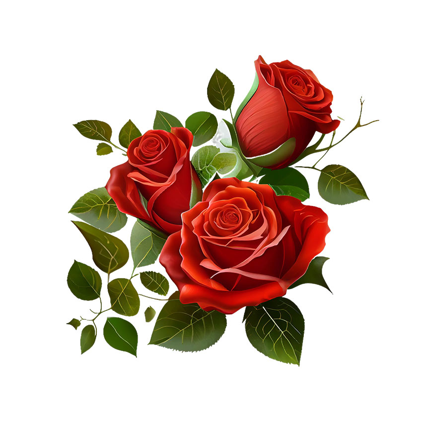 Có In Theo Yêu Cầu, Hình Ủi ROSE- Hoa Hồng 26