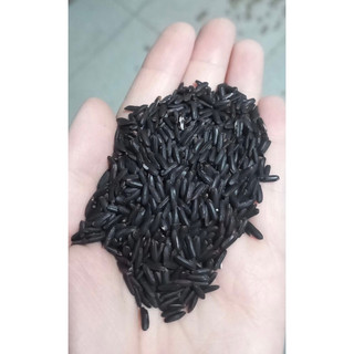Gạo lứt đen