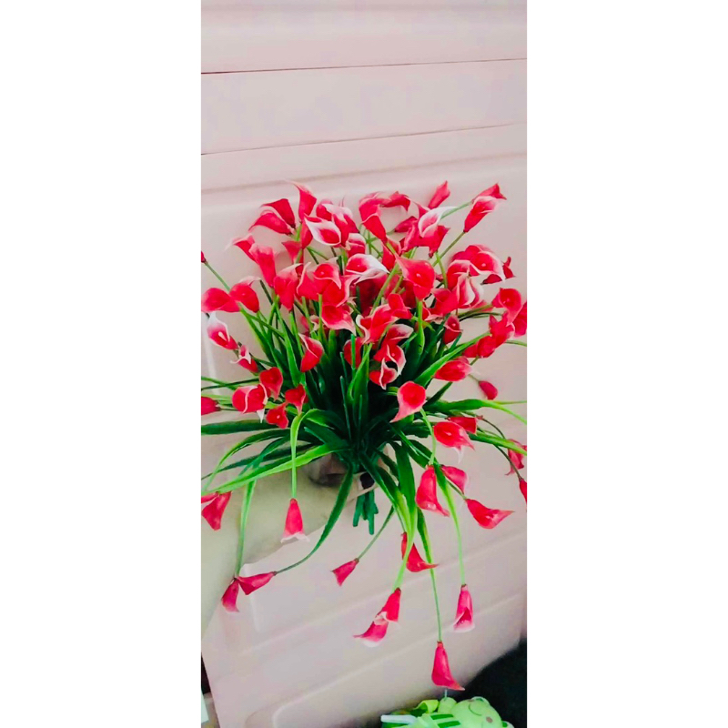Cụm cỏ điểm trang trí