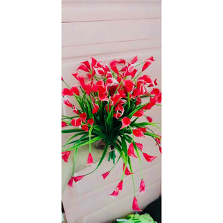 Cụm cỏ điểm trang trí