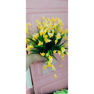 Cụm cỏ điểm trang trí