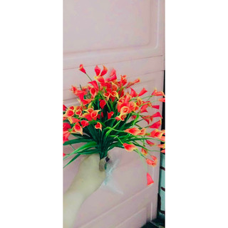 Cụm cỏ điểm trang trí