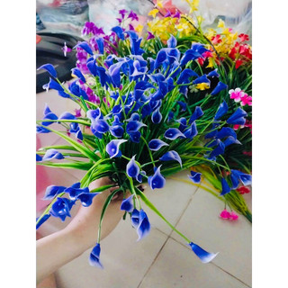 Cụm cỏ điểm trang trí