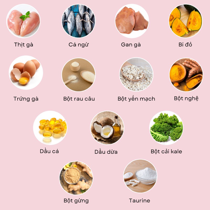 Pate Tươi Gà & Cá Cho Mèo PetChoy - 500g
