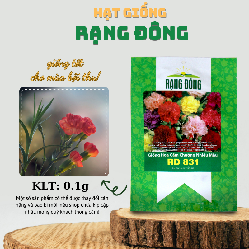 Hạt giống Hoa Cẩm Chướng Kép nhiều màu, thích hợp trồng chậu - Hạt giống Rạng Đông