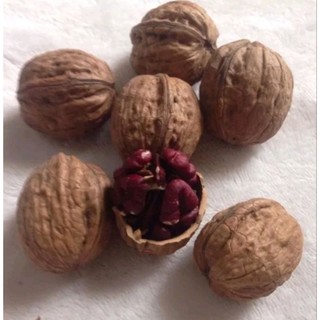 Óc chó đỏ hàng nhập khẩu 500gr