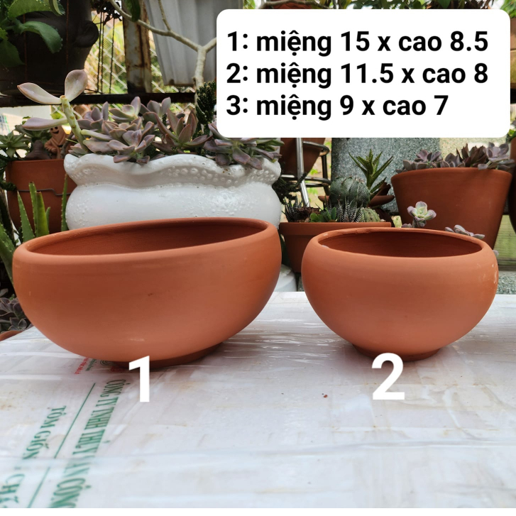 Chậu Đất Nung Tô Tròn - Trồng Sen Đá , Bonsai...