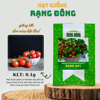 Hạt giống Cà Chua Bi Đỏ Lùn trồng chậu quanh năm, nảy mầm tốt, dễ chăm sóc (gói 0.1 gr) - Hạt giống Rạng Đông