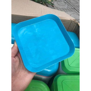 Dĩa nhựa lúa mạch