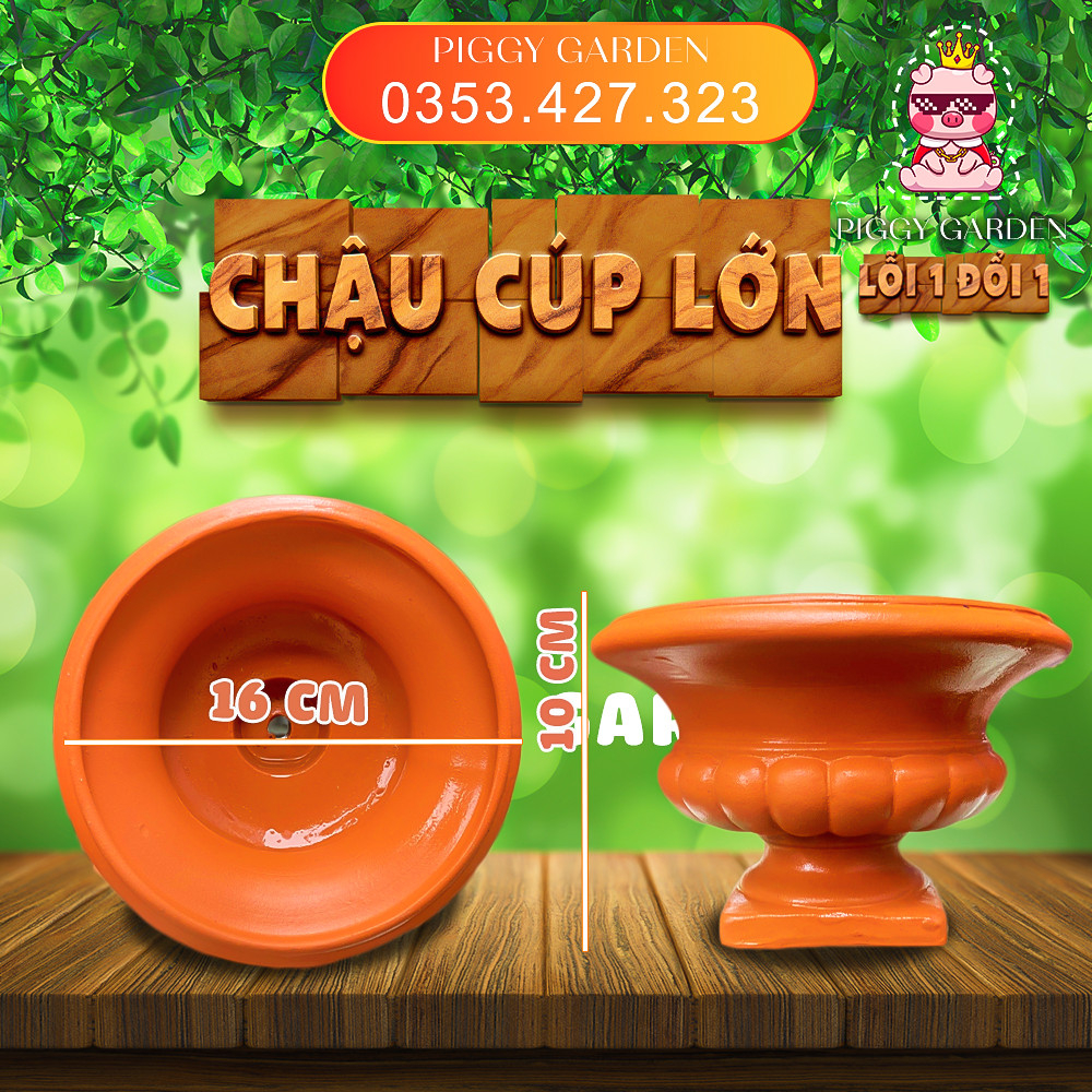 Chậu đất nung - Chậu trồng sen đá, xương rồng - Chậu cúp lớn miệng 15cm, cao 10cm
