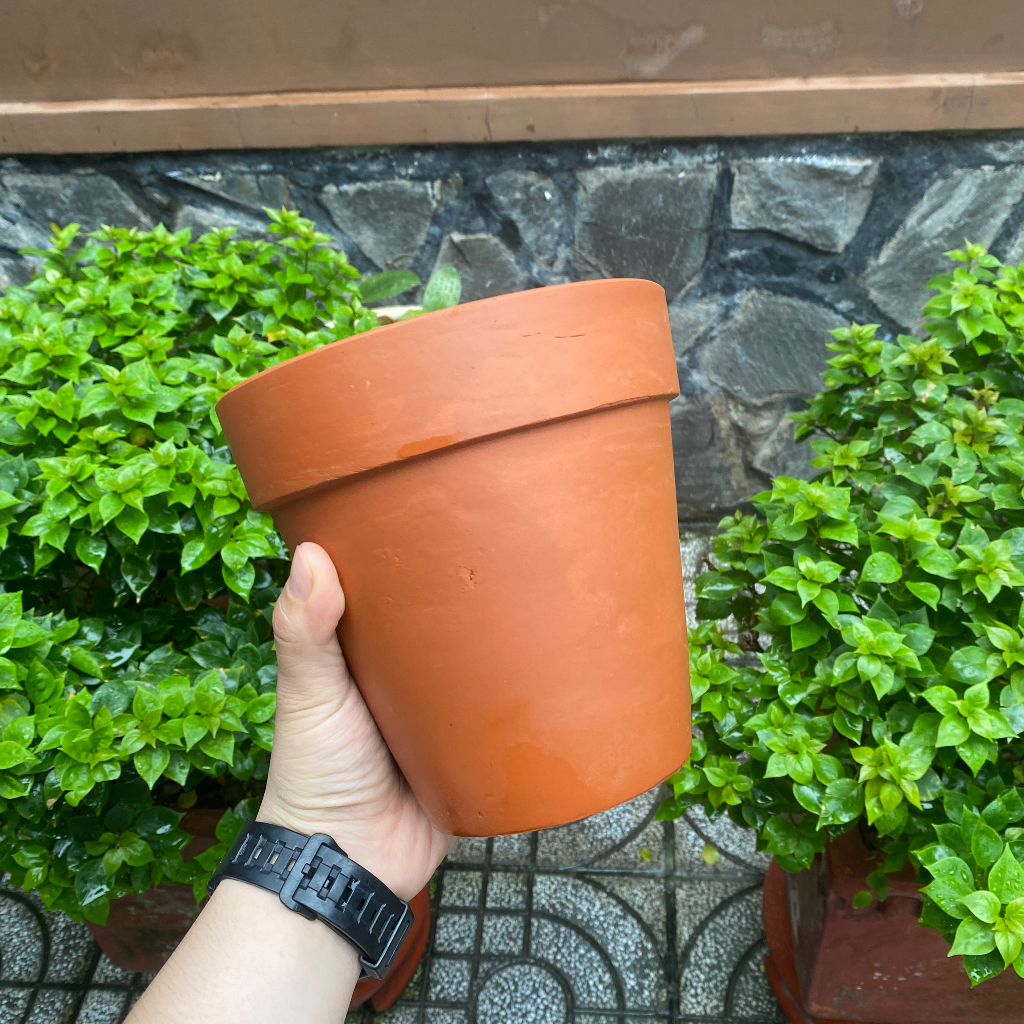 Chậu đất nung - Chậu trồng sen đá, xương rồng, cây để bàn - Chậu ly miệng 17cm, cao 17cm