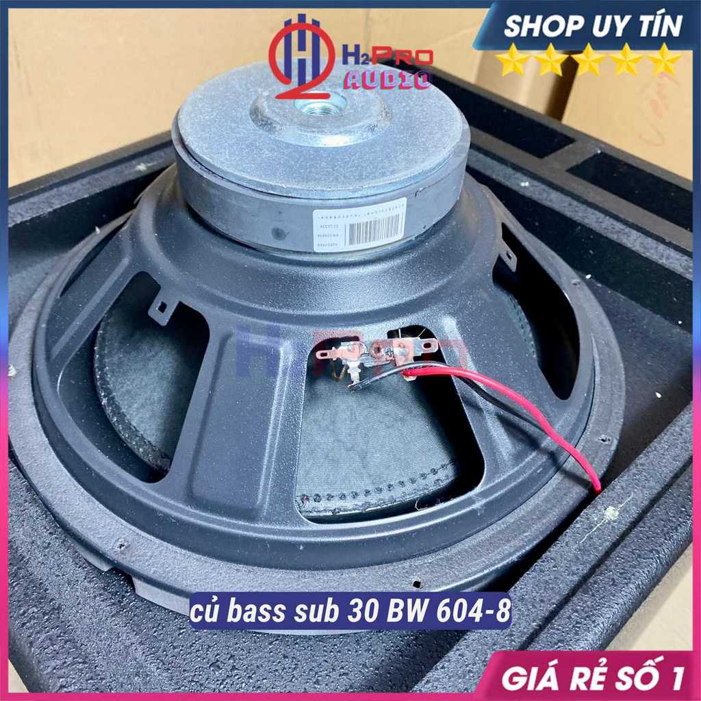Loa Sub Điện Bass 30 BW 604-8 300W, Loa Trầm Bass 30 Sub Mặt Cao Cấp Đánh Căng Cho Gia Đình, Bộ Quà 90k-H2Pro Audio