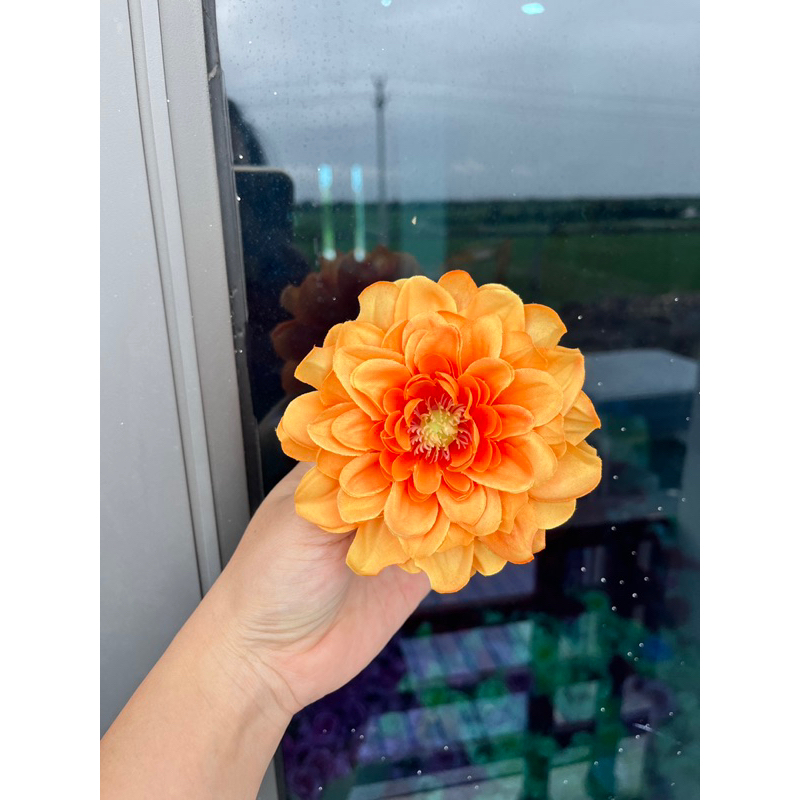 Bông hoa thược dược tràm