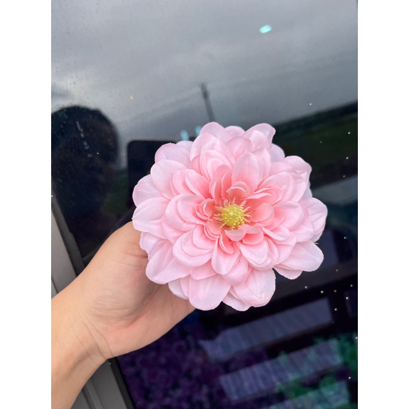 Bông hoa thược dược tràm