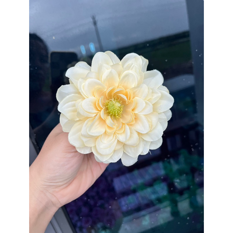 Bông hoa thược dược tràm