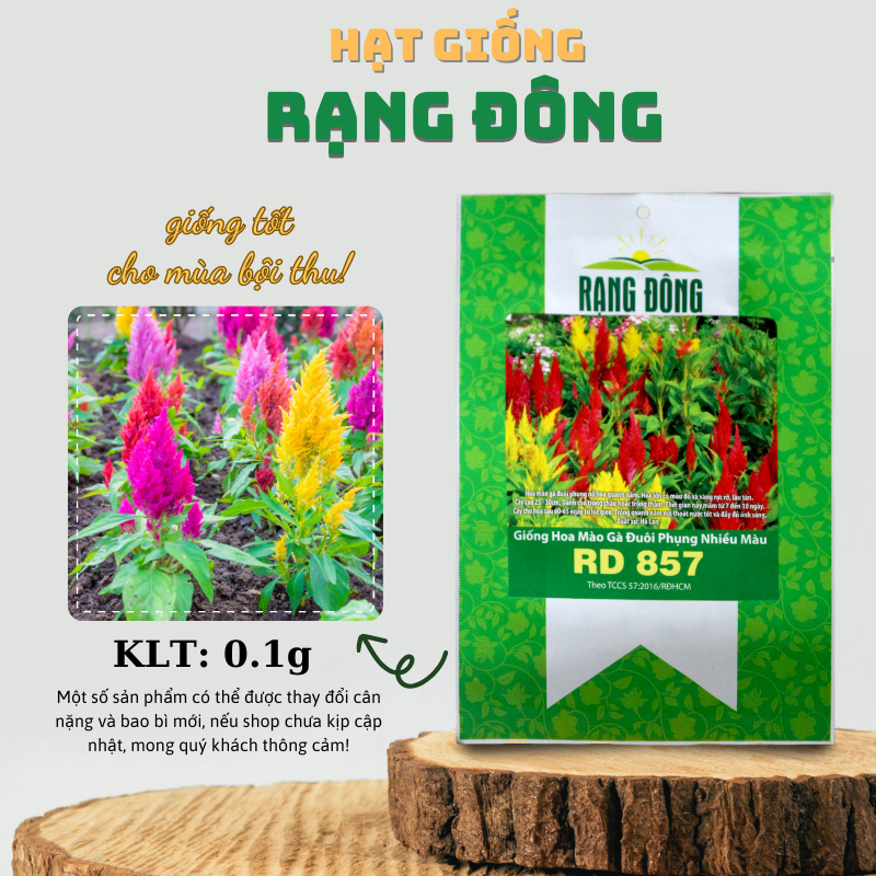 Hạt giống Hoa Mào Gà Đuôi Phụng nhiều màu, trồng quanh năm, nảy mầm tốt - Hạt giống Rạng Đông