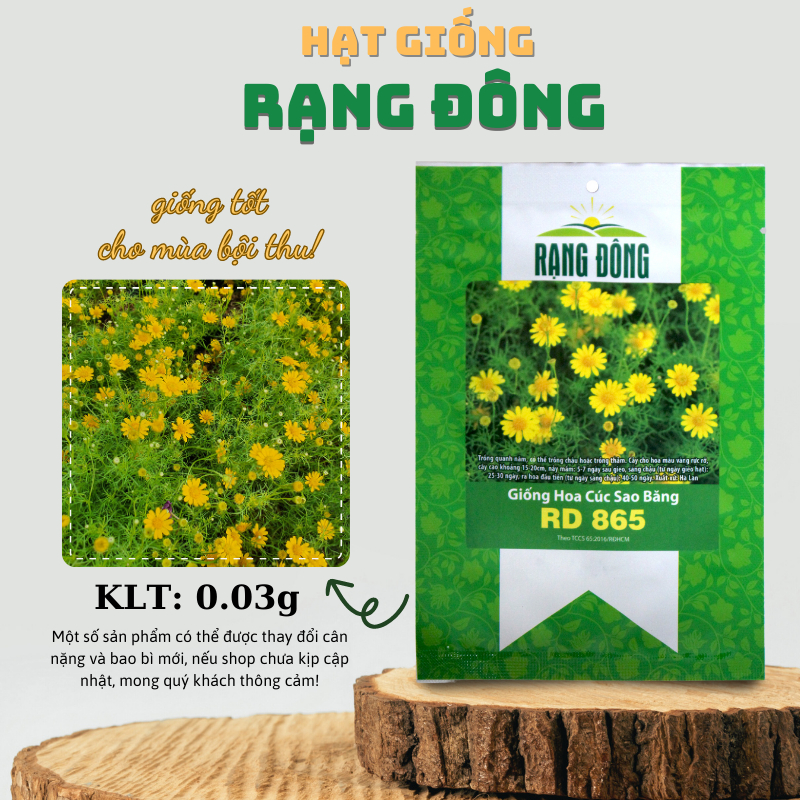 Hạt giống Hoa Cúc Sao Băng trồng chậu, hoa nở đều, màu vàng - Hạt giống Rạng Đông