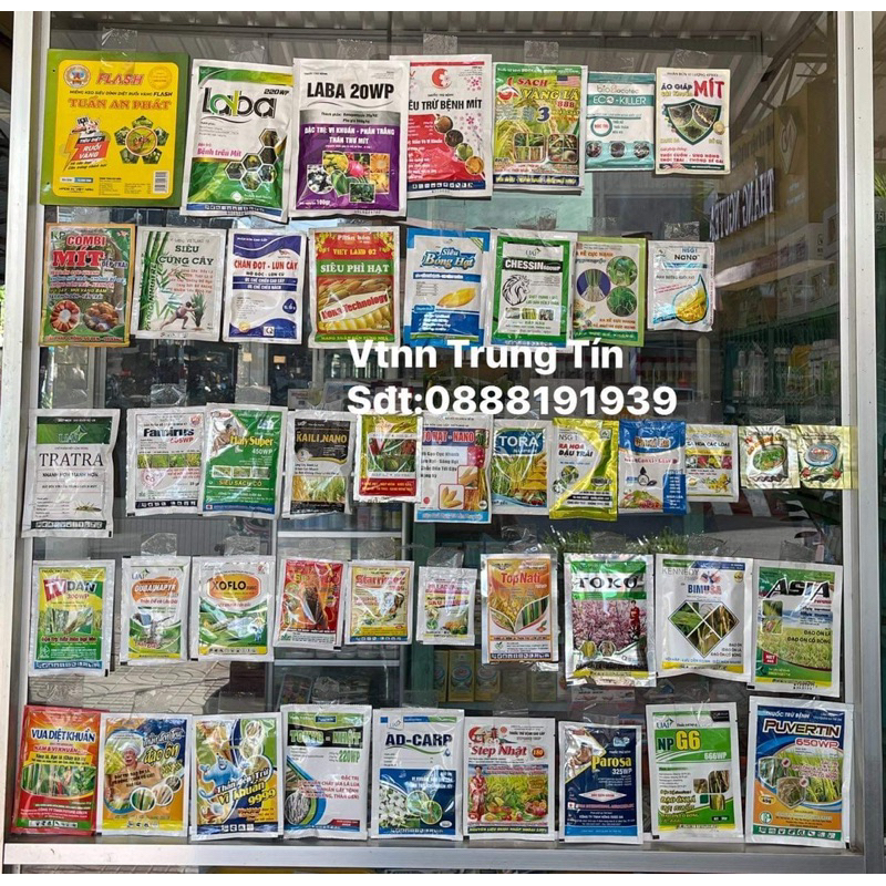 SIÊU BUNG CHÈO ra tược nhanh , bung đot, kéo chèo , xanh cây , mập ngọn , lớn lá