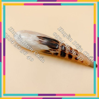 Thuyền Cạo Gió Đa Năng bằng sừng - Diện Chẩn Thân Tâm