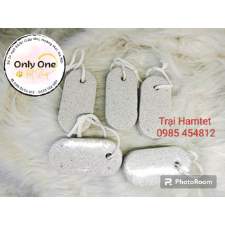 Đá mài răng Hamster size to - Onlyonepetshop