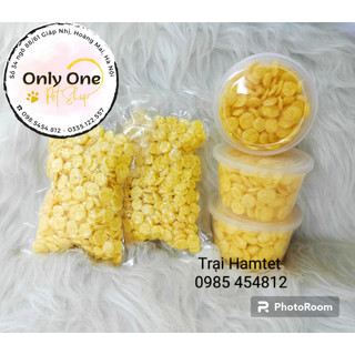 Bắp dẹt cho Hamster - Onlyonepetshop