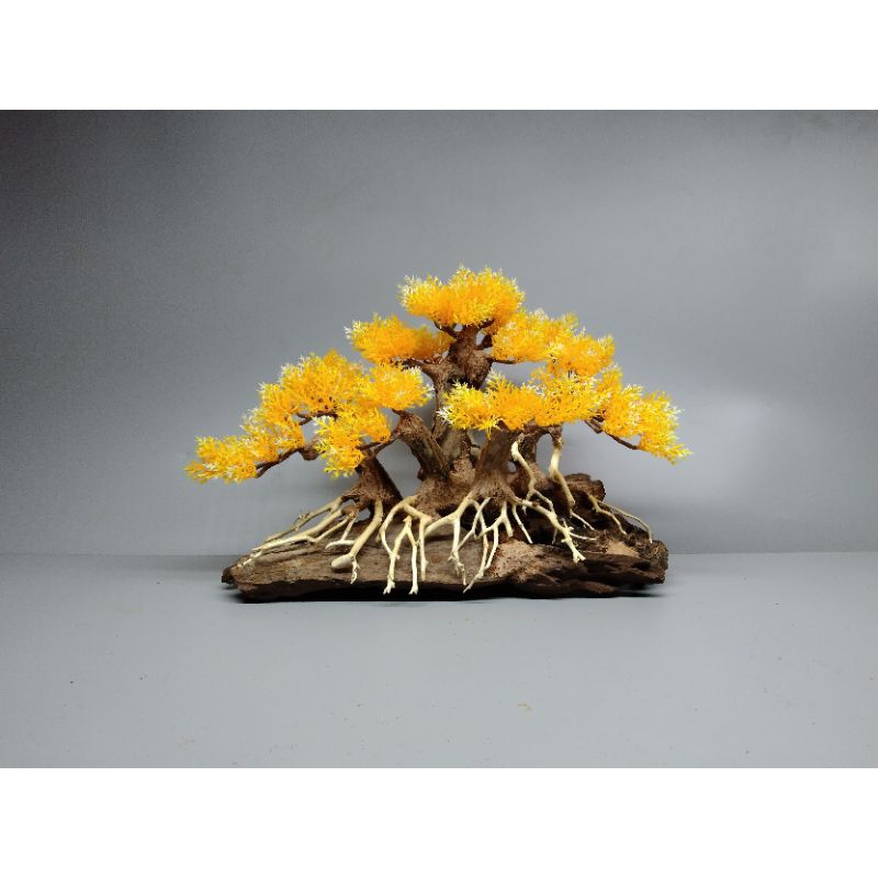 Cây gỗ lũa Bonsai cho hồ cá cảnh