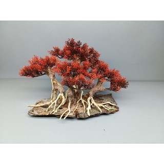 Cây gỗ lũa Bonsai cho hồ cá cảnh (phần đế bằng gỗ)
