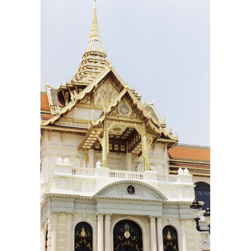 Film kodak vision 3 250D  - iso 250 - 36 kiểu - chụp được máy PnS