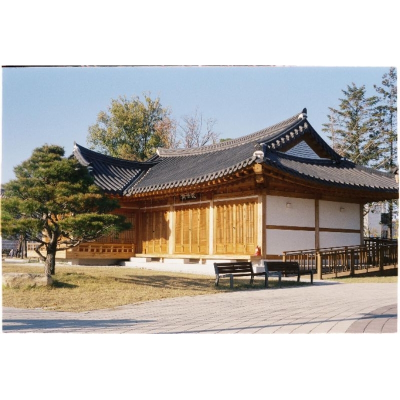 Film KODAK Vision 3 500T - iso 500-800  - 36 kiểu- chụp được máy PnS