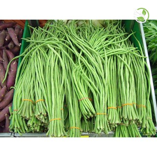 Hạt Giống Đậu Đũa Hạt Đen Phú Nông - Gói 10g