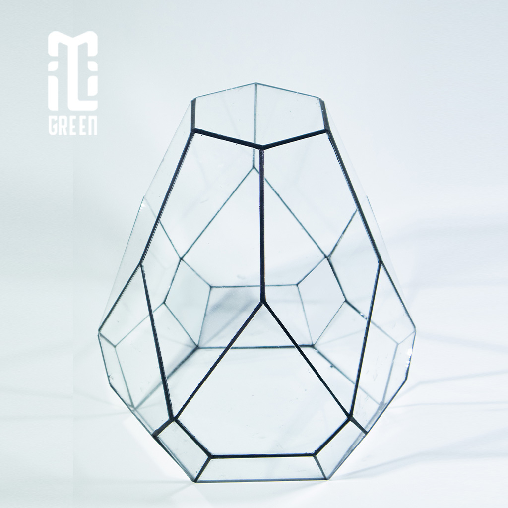 Terrarium, Bể kính Terrarium, Bể kính, Trang trí Terrarium, Setup bàn làm việc