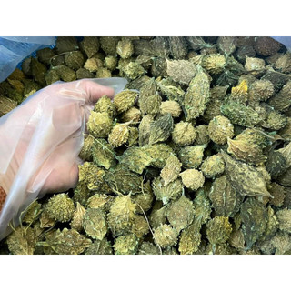 1kg mướp đắng rừng (khổ qua rừng) hàng nguyên quả và thái lát sấy khô