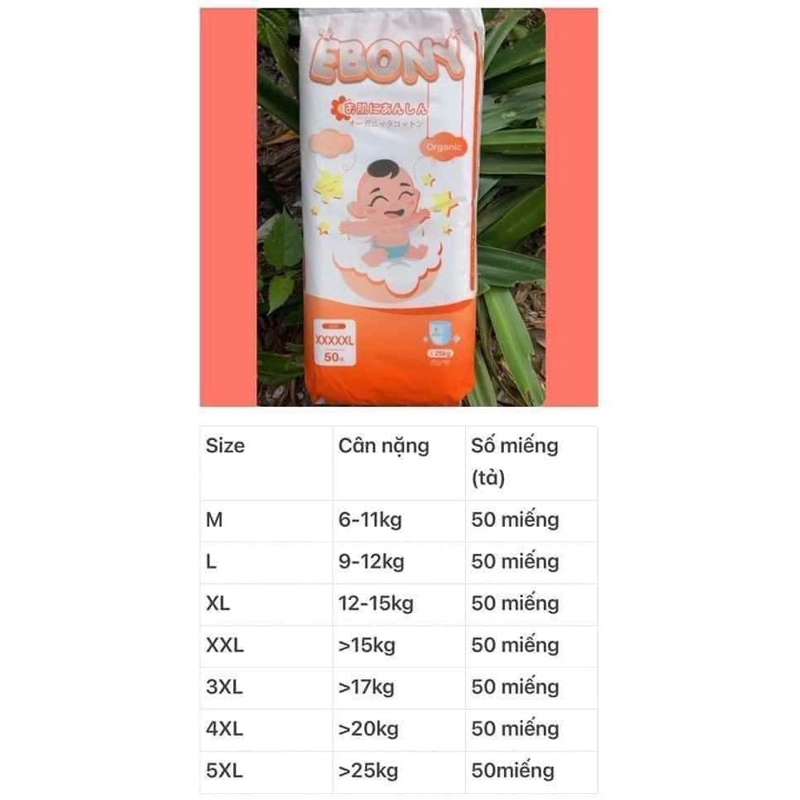 100m bỉm quần Ebony size M đến 5xl tặng thêm miếng