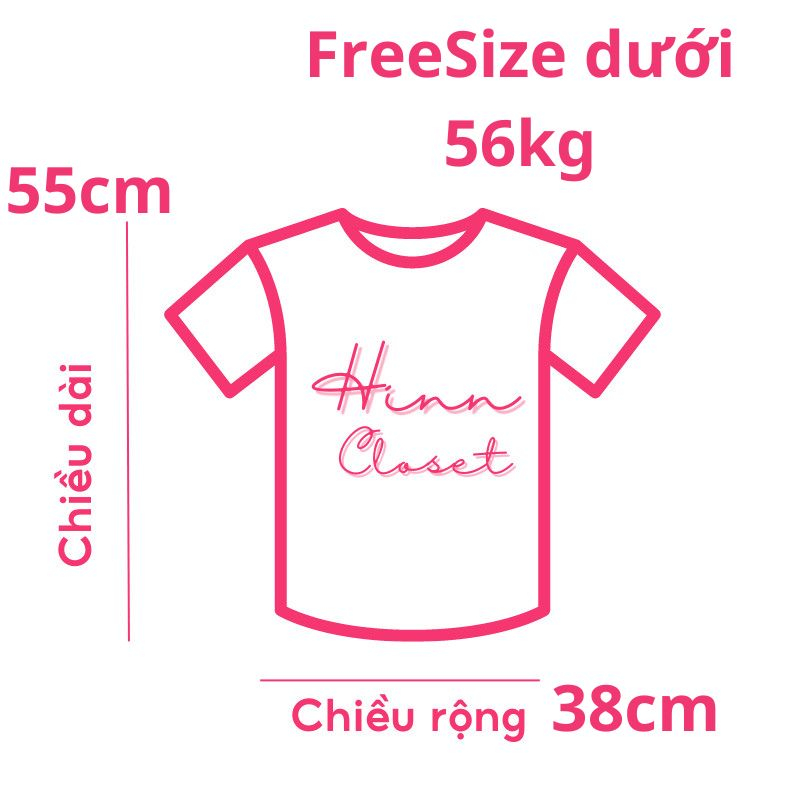 Set 3 áo thun gân hàng xuất xịn - Áo thun nữ cổ tròn ôm body - HiiNCloset