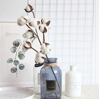 Cành quả Bông gòn lớn decor trang trí