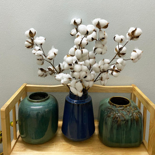 Cành quả Bông gòn lớn decor trang trí